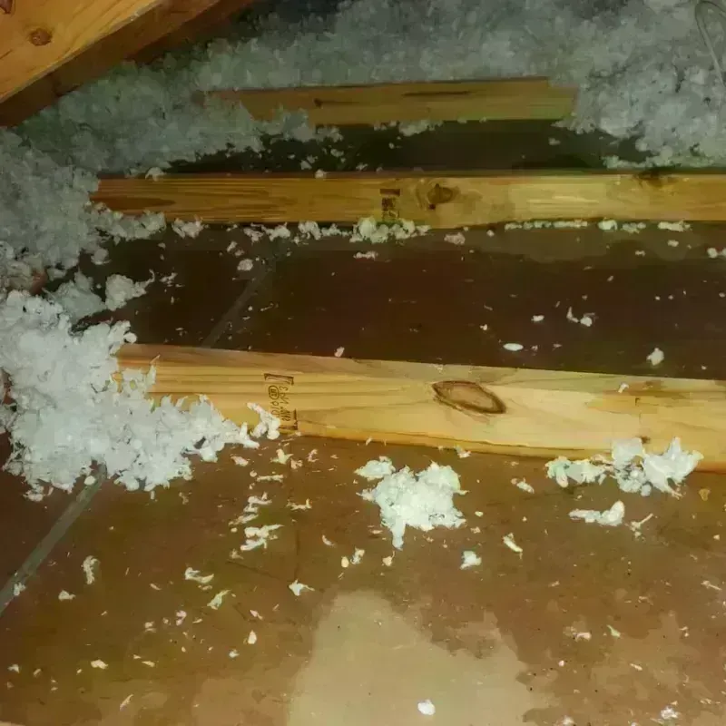 Attic Water Damage in Horseheads, NY